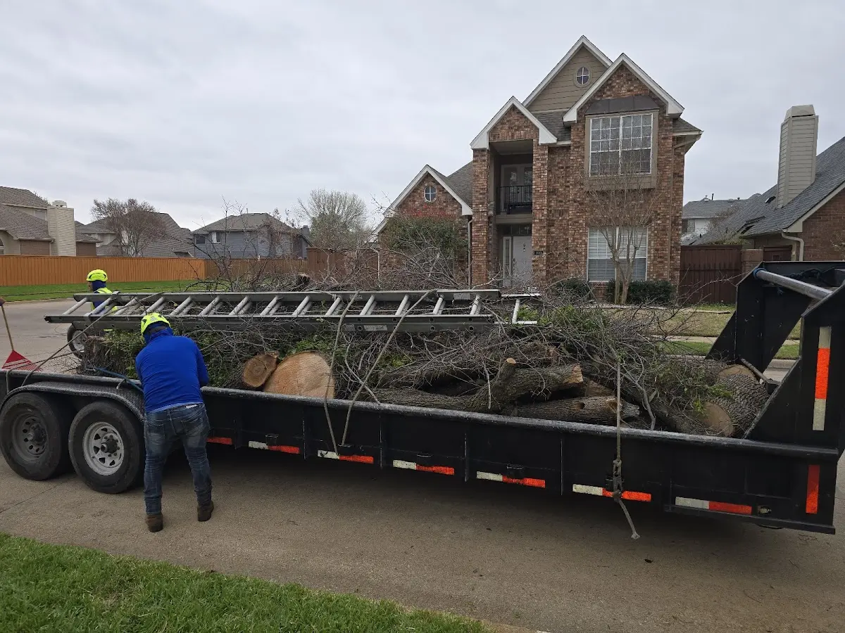 Expert Lot Clearing with proper safety equipment in Blairs